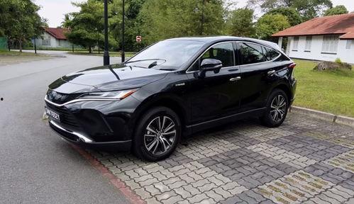 国产官网,探索创新科技，引领未来生活新篇章